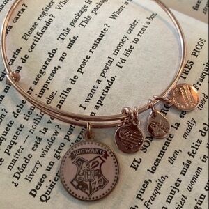 Alex and Ani Harry Potter HOGWARTS bangle charm Bracelet
